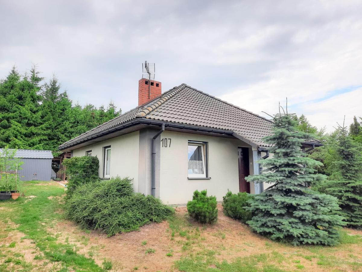 Daglezja Vip Villa Kolczewo Ngoại thất bức ảnh